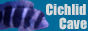 minibanner